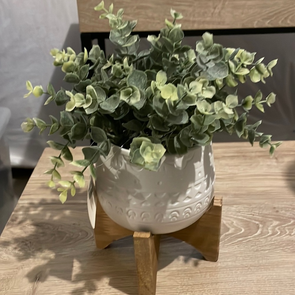 Brand new faux house plant